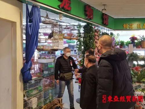 探索自然美景之旅，揭秘2017鷯哥銷售最新資訊，尋找內(nèi)心的平靜與喜悅