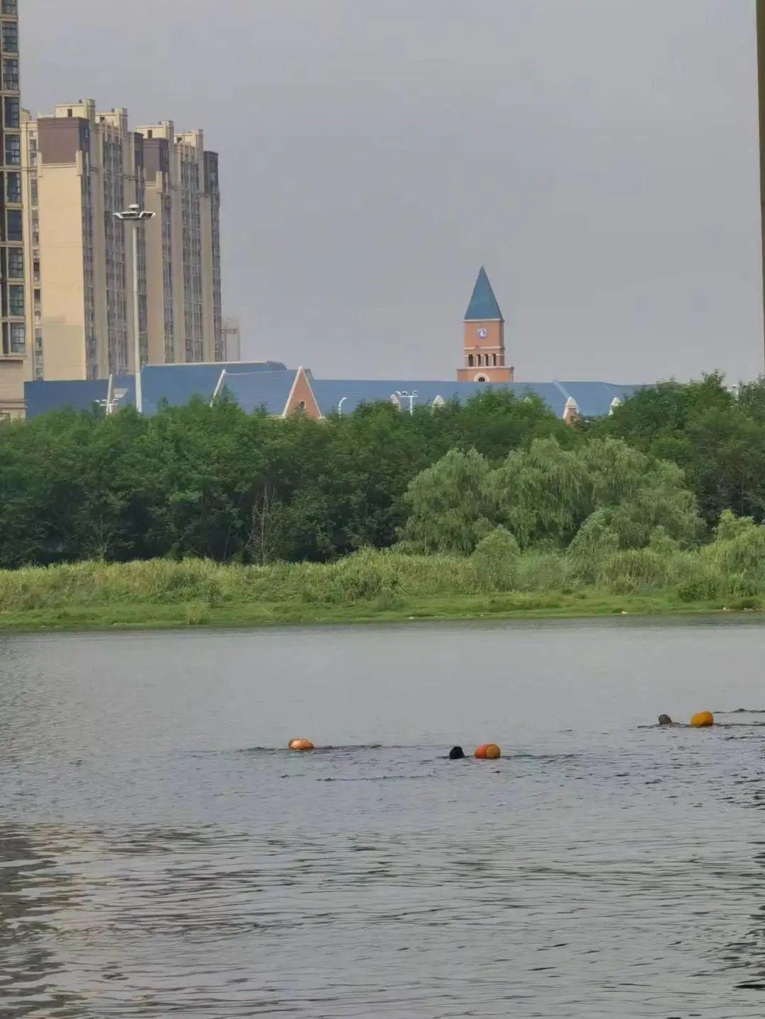 最新野泳之旅，自然美景的探索與愉悅體驗(yàn)