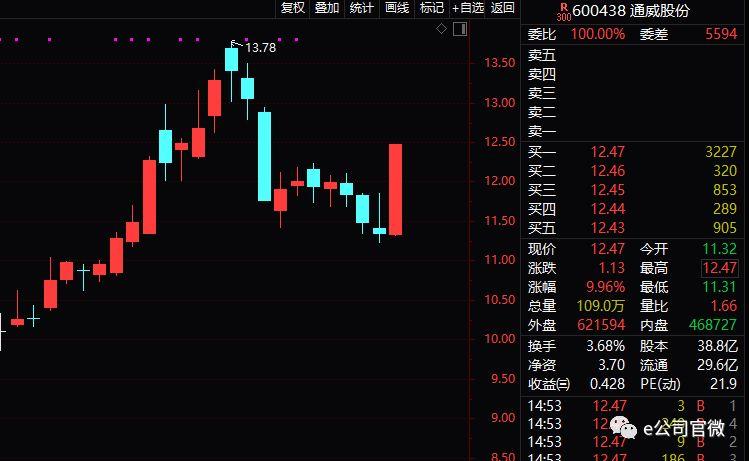 股票逆襲之路，開啟財(cái)富人生的新篇章從底部開始！