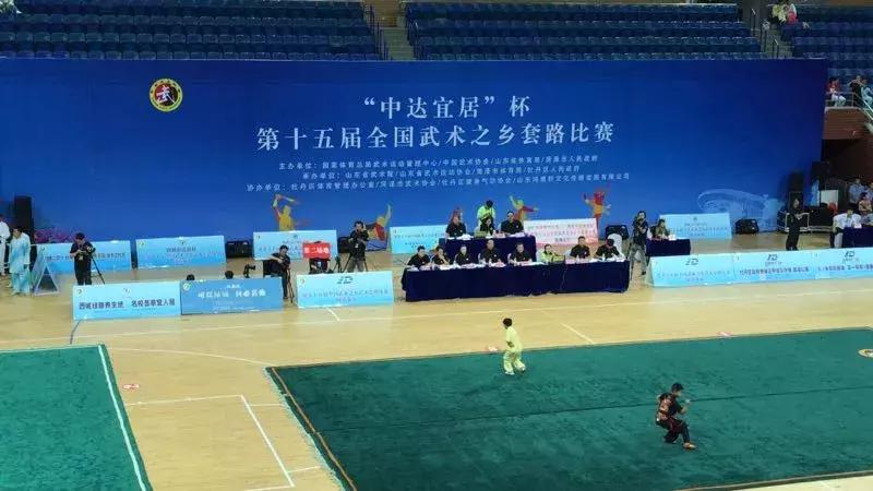 山東武術(shù)大賽，傳承與榮耀的盛宴，展現(xiàn)武術(shù)風(fēng)采的盛事！