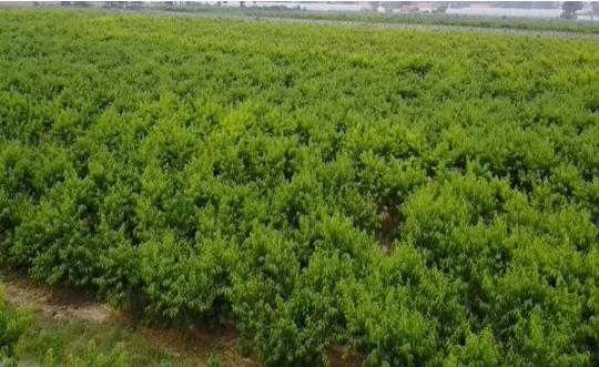 富平最新轉(zhuǎn)讓信息，變化中的機遇，成就感的源泉，自信閃耀時刻