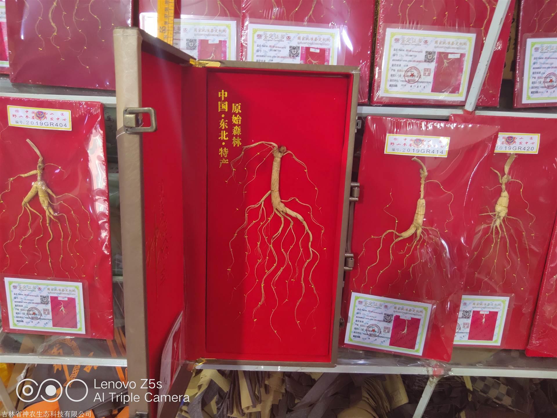 人參價格解析，市場走勢、品質(zhì)差異及影響因素深度探討