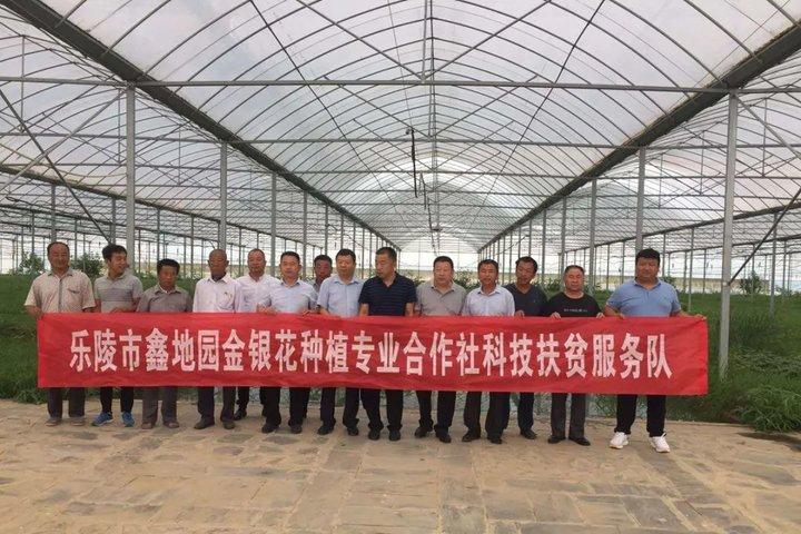 新型環(huán)剝設(shè)備，小巷中的科技新星