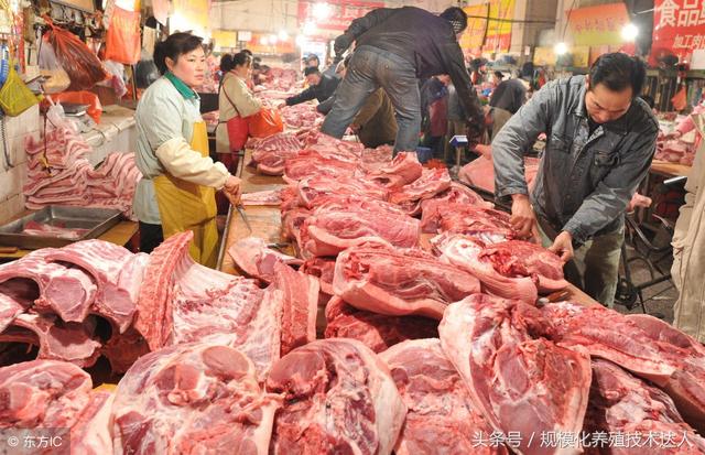 科技助力豬肉價格跟蹤，智能監(jiān)控，洞悉未來市場動態(tài)