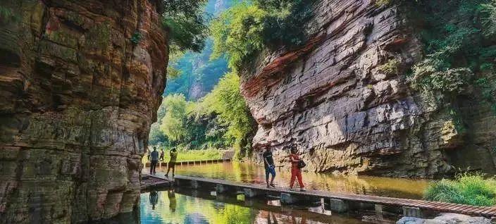 洛陽旅游最新攻略，探索千年古都的魅力