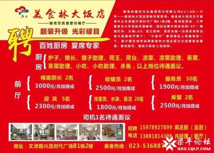 藁城最新招工信息今日更新