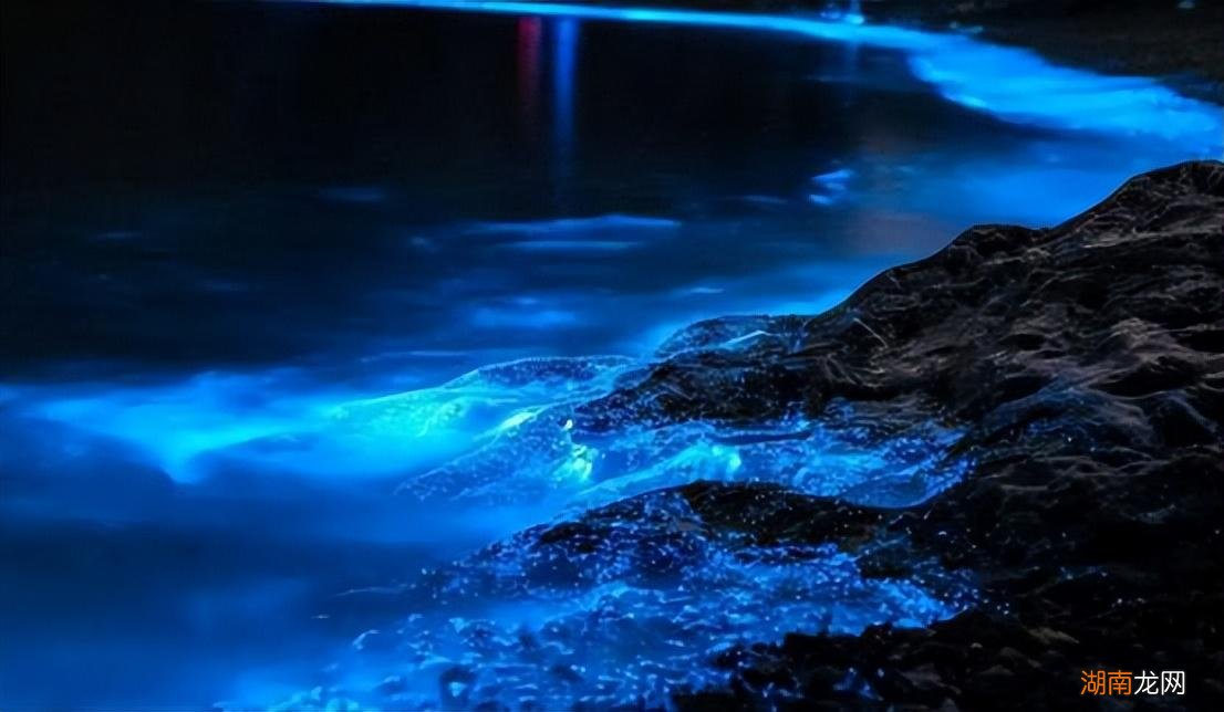 最新藍(lán)眼淚現(xiàn)象，尋找內(nèi)心平靜的奇妙旅程