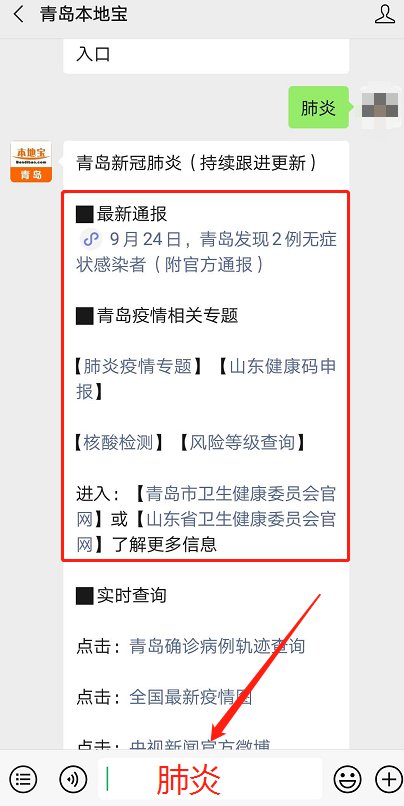 青島最新動(dòng)態(tài)，多維度視角下的城市發(fā)展探析