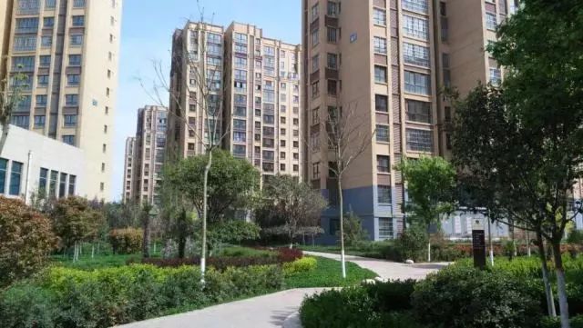 周至房價最新走勢，與自然美景相遇，內(nèi)心平和的旅程探索