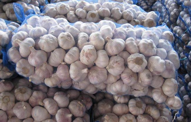 開封大蒜最新市場價格，時代味道與市場動態(tài)同步更新