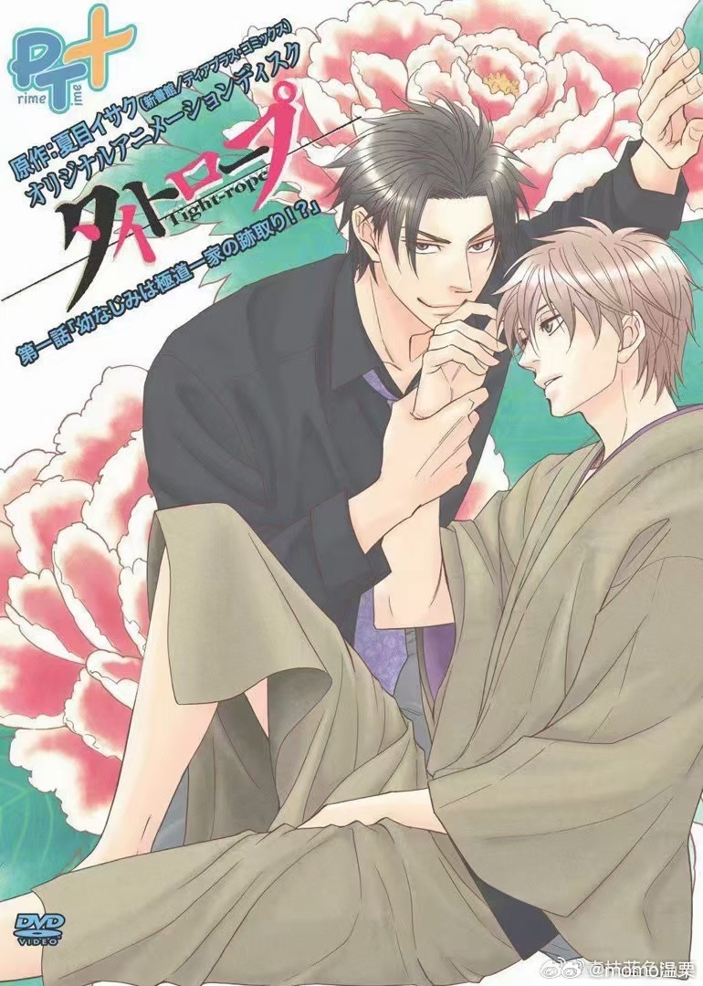 最新BL動(dòng)漫推薦，心靈與自然的浪漫之旅