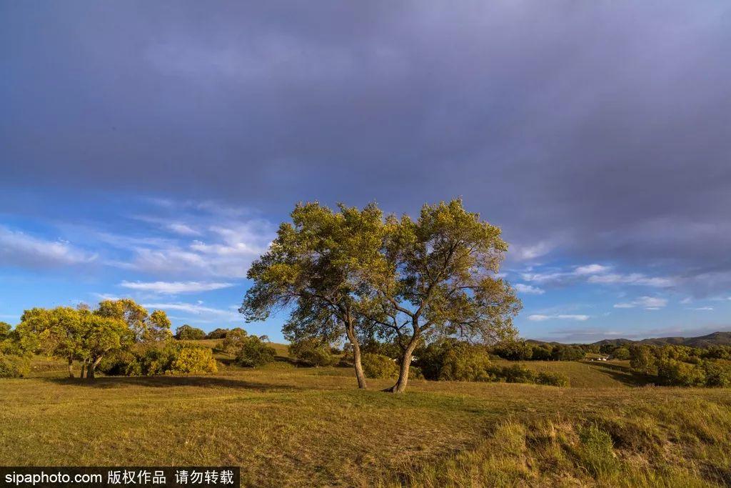 滿族最新資訊,滿族最新資訊