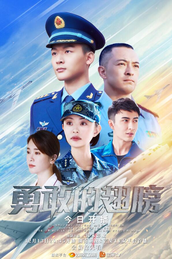 勇敢的翅膀電視劇免費觀看,勇敢的翅膀電視劇免費觀看——深度劇評與免費觀看指南