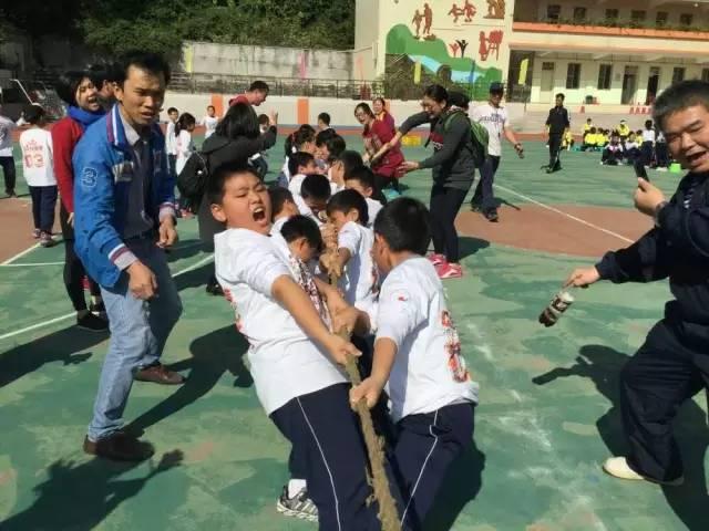 拔河比賽對(duì)陣圖詳解，策略、技巧與案例剖析實(shí)戰(zhàn)指南