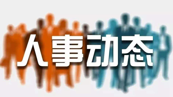 長(zhǎng)治市人事任免信息解析，日常故事與任免動(dòng)態(tài)