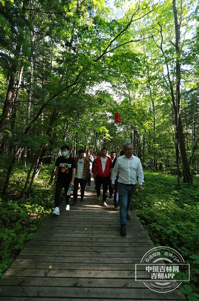 夢幻遮天最新版下載攻略，快速獲取下載渠道與指南