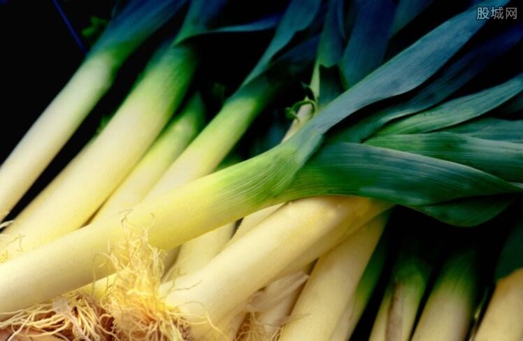 今日大蔥價格最新行情,今日大蔥價格最新行情詳解，如何獲取與分析大蔥價格信息