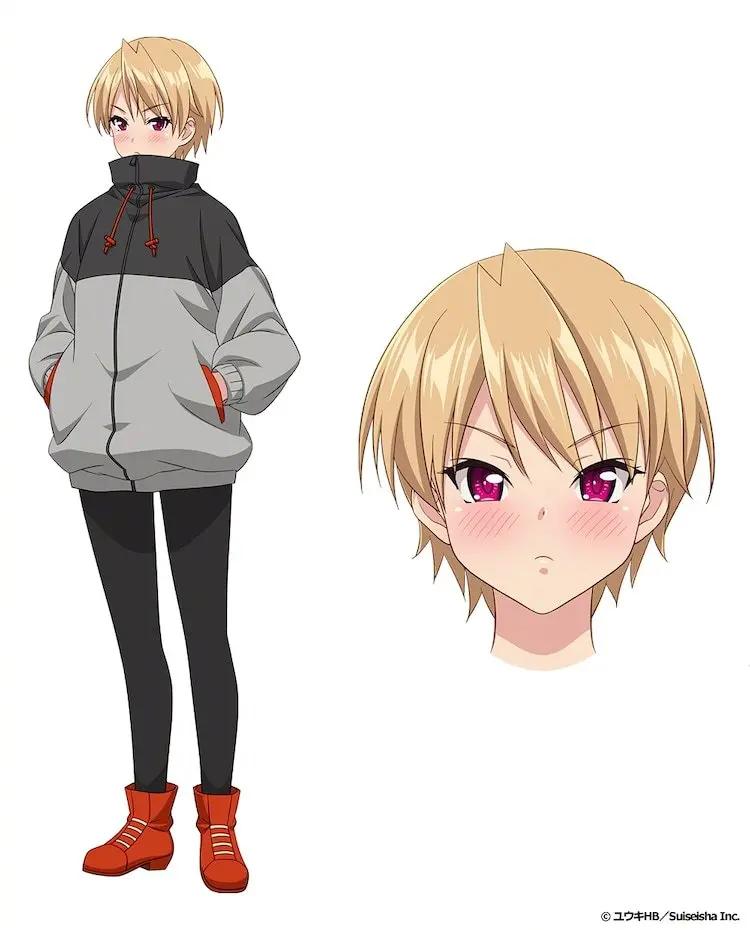 男后宮動漫,關(guān)于男后宮動漫，背景、發(fā)展及地位探討