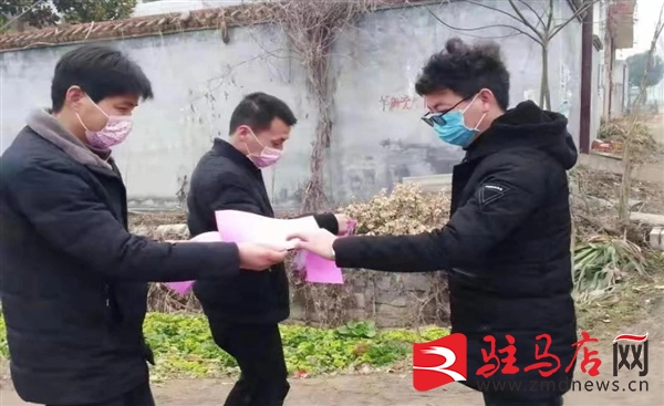 河南泌陽羊冊最新動(dòng)態(tài)更新，最新進(jìn)展與資訊匯總