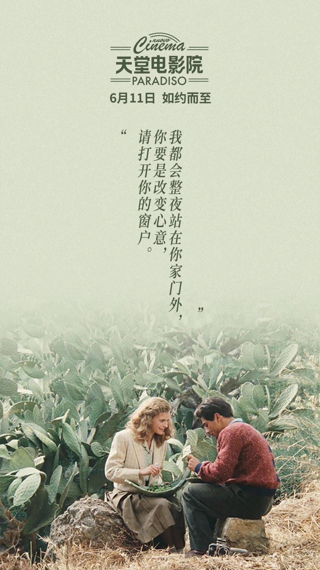 電影天堂，探尋電影的藝術(shù)精髓與無(wú)限魅力