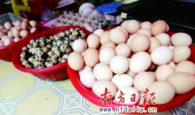 鴨蛋價格行情與探索自然美景的旅行之旅