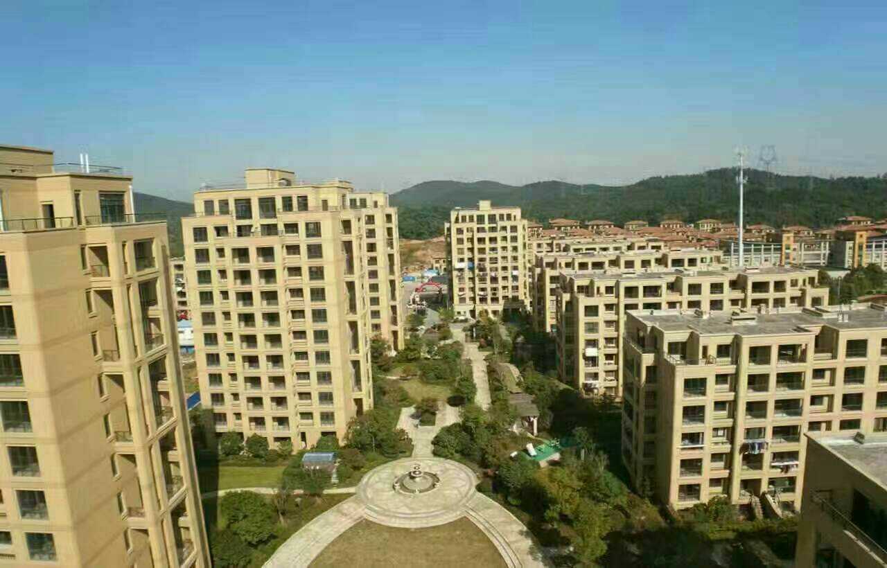 長興二手房資訊，科技引領房產(chǎn)新紀元，智能體驗重塑生活空間