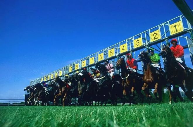 海南賽馬政策最新動態(tài)下的賽馬情緣揭秘