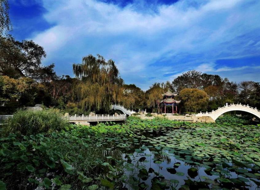 天津女排比賽門票，小巷深處的觀賽激情之旅