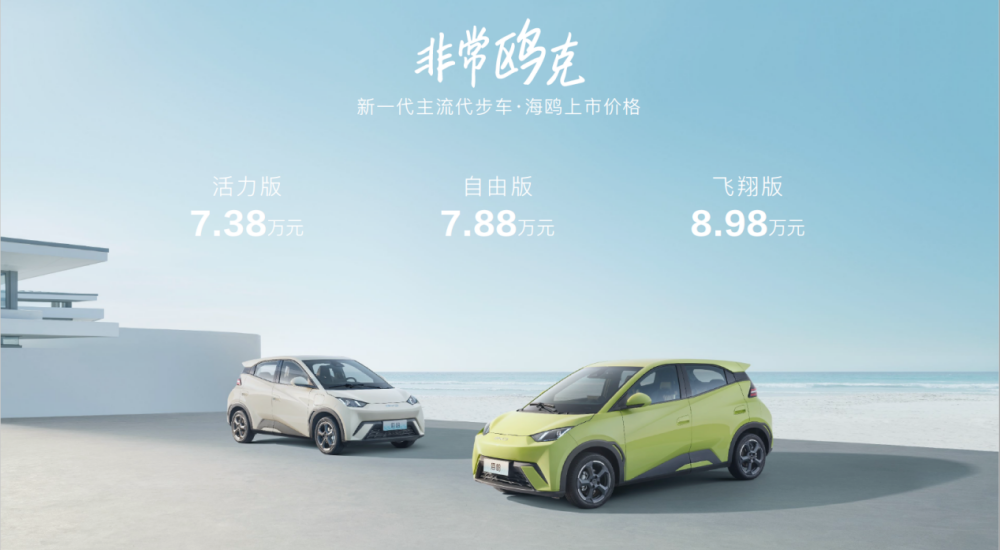 比亞迪海鷗價格背后的故事，與家的溫馨紐帶，探尋海鷗情感價值