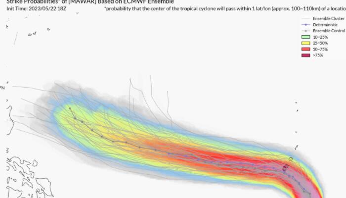 臺風(fēng)瑪娃逆風(fēng)成長與力量展現(xiàn)的最新動態(tài)