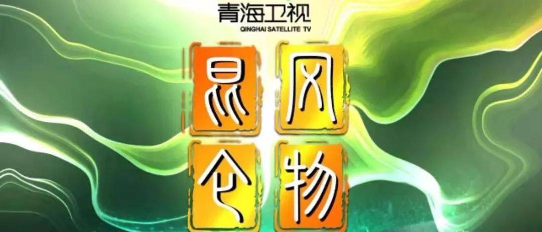 青海人事任免最新動(dòng)態(tài)，溫情故事揭秘人事變遷