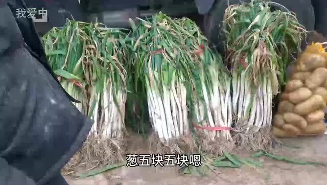 今日大蔥價(jià)格行情詳解，獲取與分析價(jià)格信息的指南