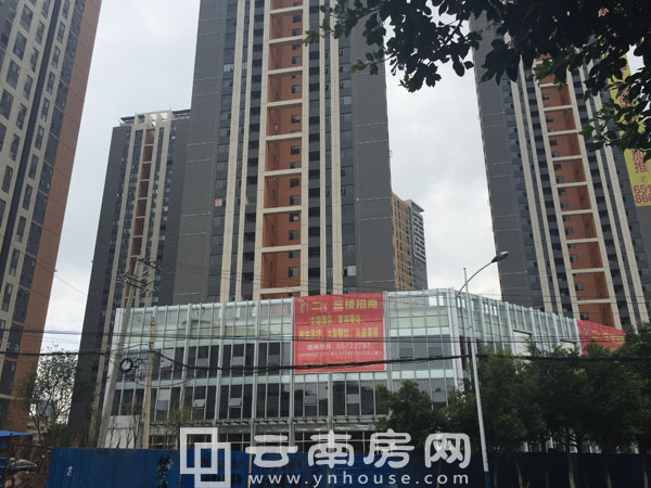 昆明名旺角最新資訊全攻略，資訊獲取指南與動(dòng)態(tài)速遞