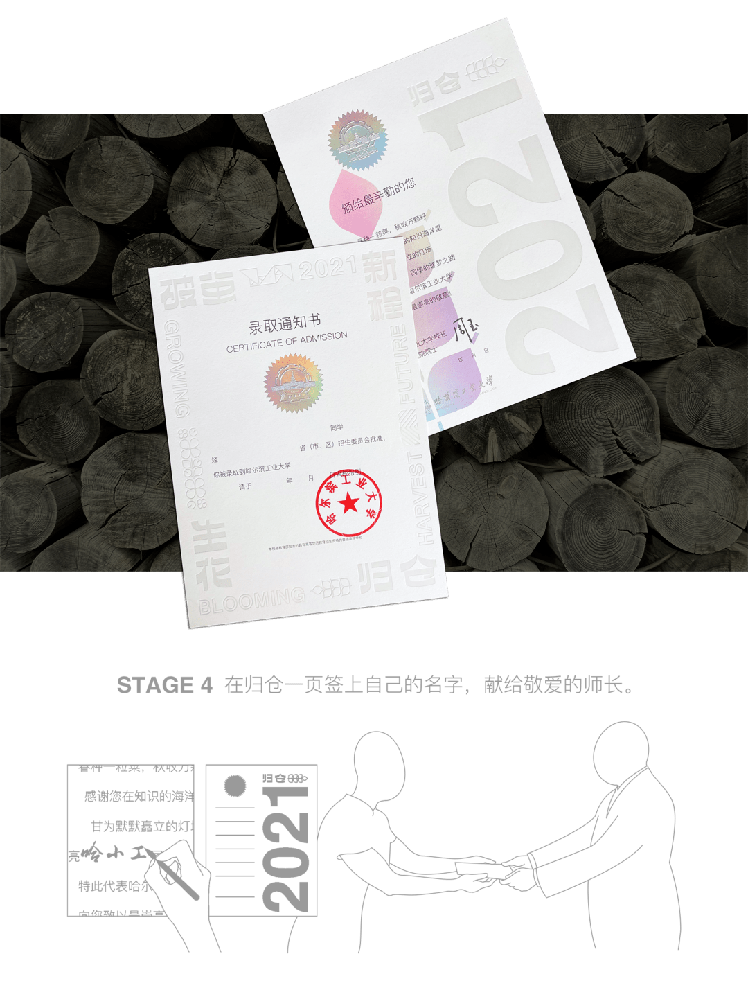 小巷印章探秘，最新章節(jié)揭秘官方印章的魅力