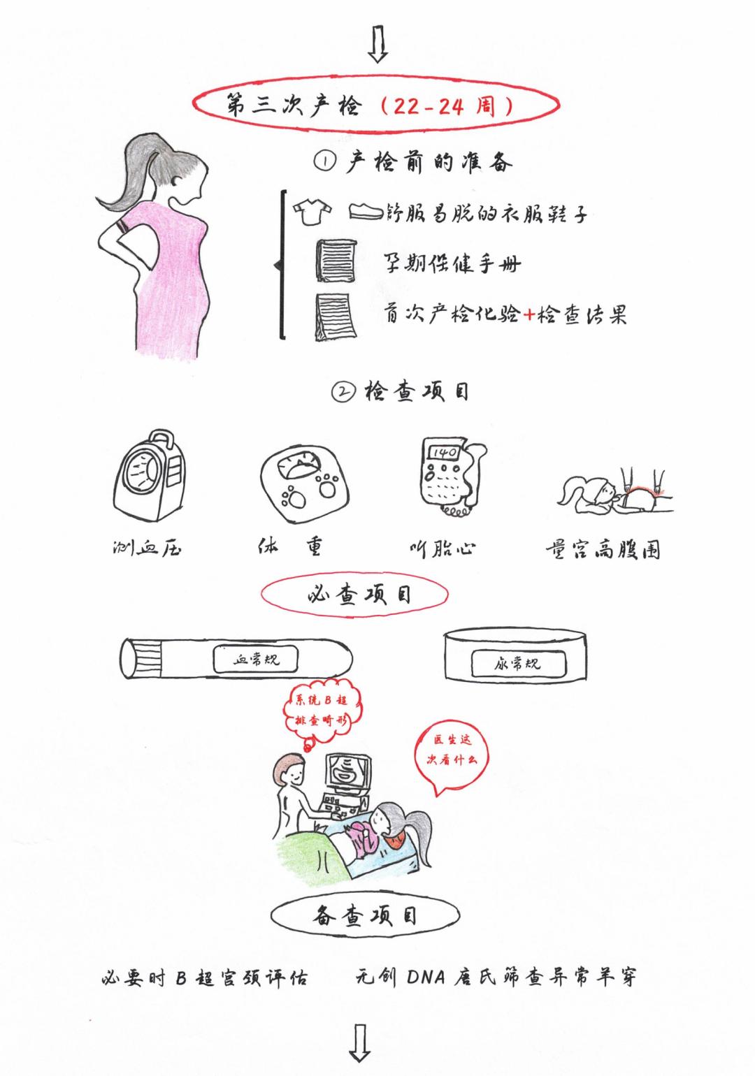 產(chǎn)科醫(yī)生電視劇，孕育希望，展現(xiàn)自信成長與勵志篇章的勵志故事