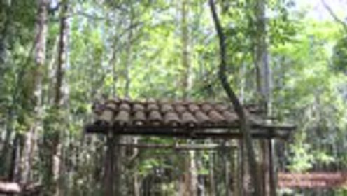 澳洲小哥荒野求生紀實，學習荒野求生技能的必備指南