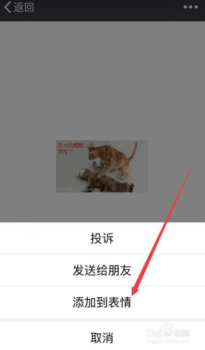 微信與蘋果合作新動(dòng)態(tài)，正能量故事中的自信與成就展現(xiàn)