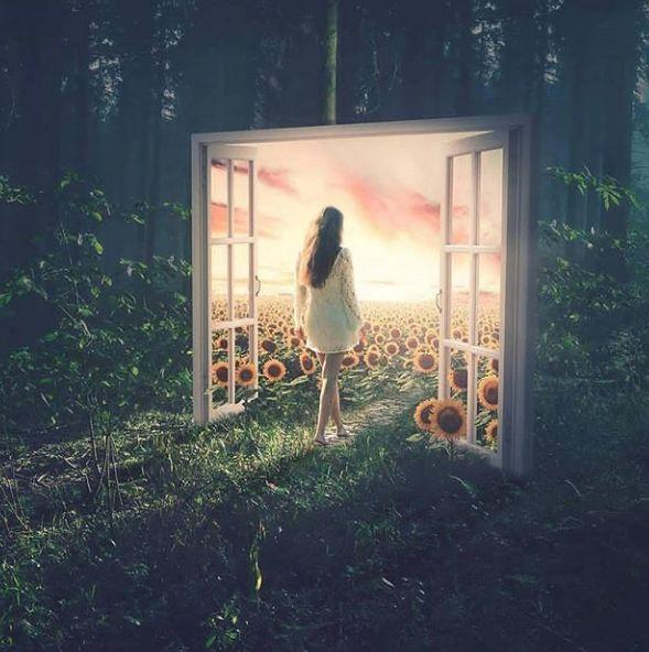 微信收費(fèi)服務(wù)位置查詢最新探討，功能解析與影響分析