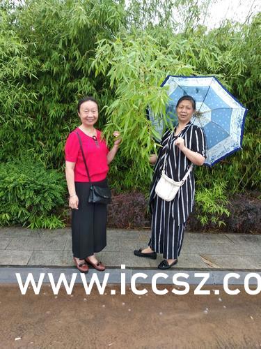 最新美女圖片，時(shí)代印記與文化的鏡像展現(xiàn)