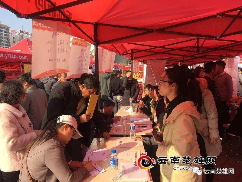 東鄉(xiāng)縣最新招聘資訊，職業(yè)發(fā)展的理想選擇地，尋找人才與機遇的交匯點