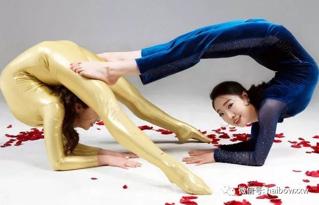 柔術資訊深度解析，探索世界聚焦要點