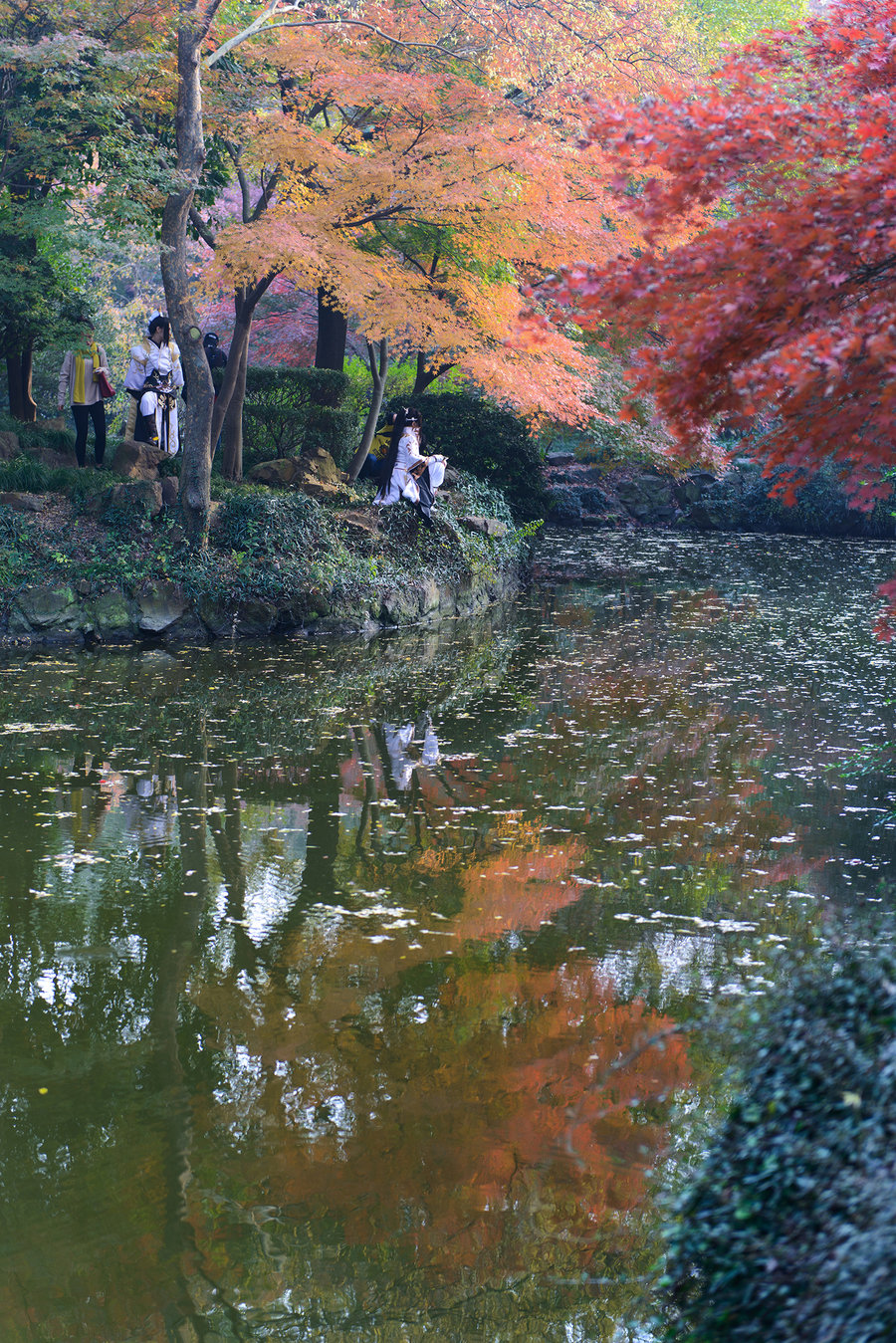 秋霞影院最新，電影藝術(shù)的現(xiàn)代盛宴