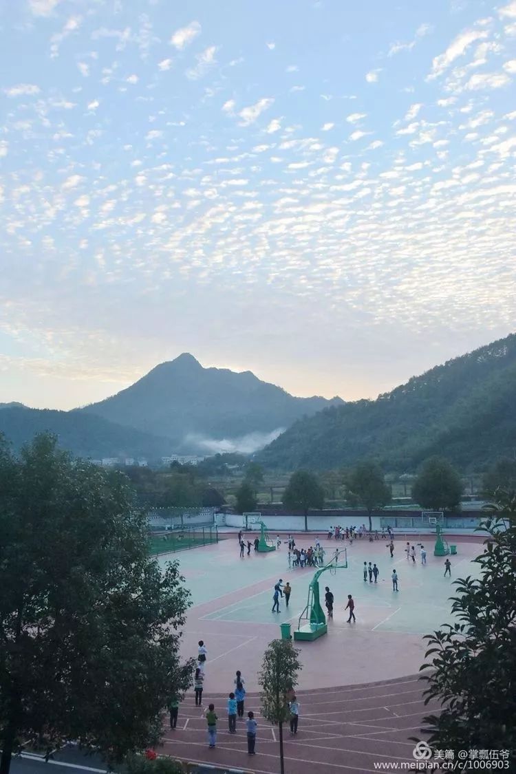 楠木鋪鄉(xiāng)最新動態(tài)及觀點闡述