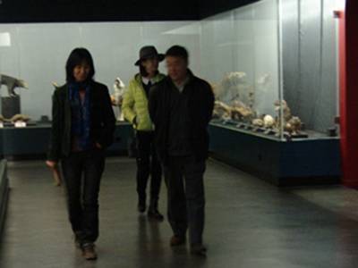 李元潮最新動態(tài)揭秘，小巷深處的獨特風(fēng)味探秘之旅