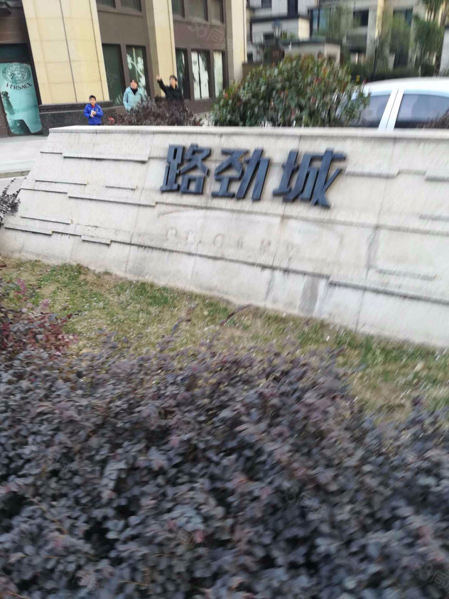 湖塘路勁城最新價格及市場走勢多元觀點探討