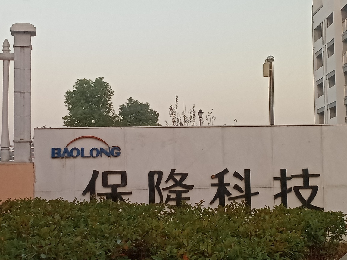 保隆科技最新動(dòng)態(tài)，小巷寶藏的魅力與特色小店的無限探索