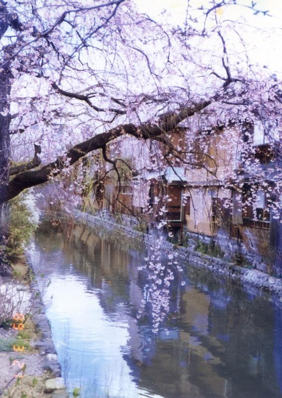 約會大作戰(zhàn)櫻花動漫，時代印記與文化回響