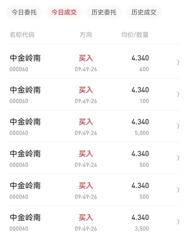 中金嶺南行情深度解析，最新動態(tài)與走勢分析