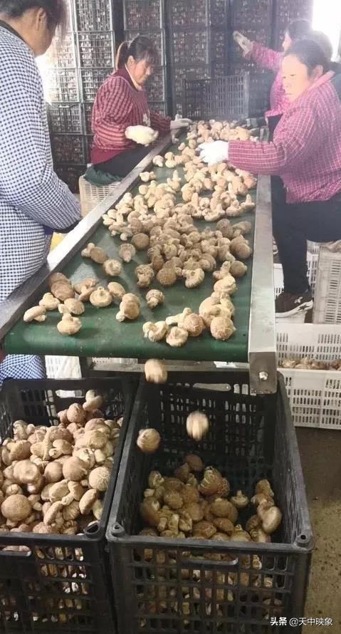 中脈上市指南，詳細(xì)步驟帶你了解中脈上市之路