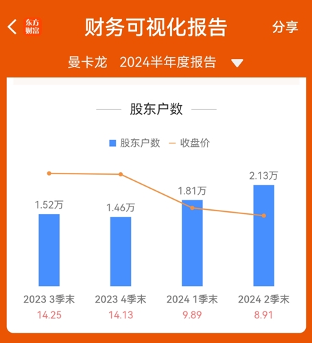 卡曼龍股票深度解析與未來前景展望